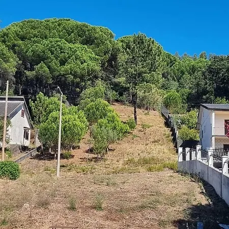 Apartment Palomar